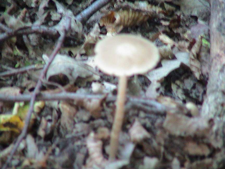 DSC00011