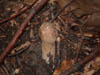 DSC00004