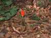 DSC00005