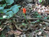 DSC00006