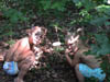 DSC00008