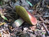 DSC00010