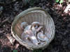 DSC00023