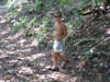 DSC00033