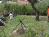 DSC00003