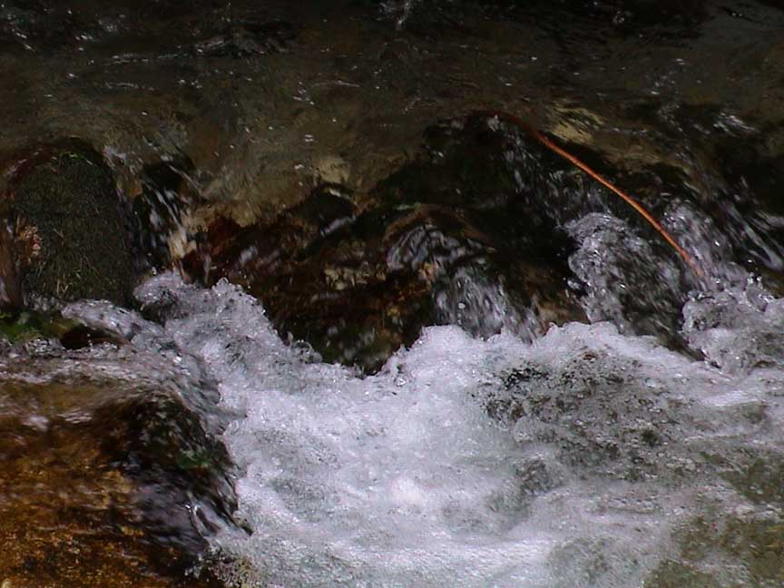 DSC00017