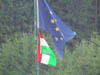 DSC00008