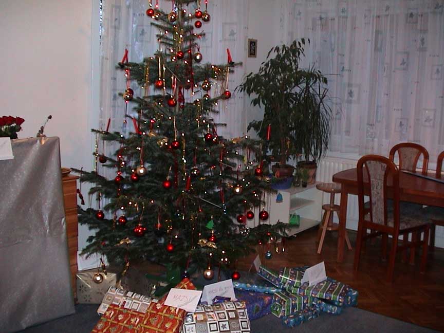 DSC00002