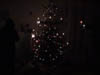 DSC00005