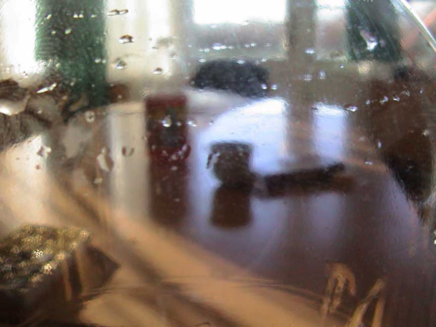 DSC00065