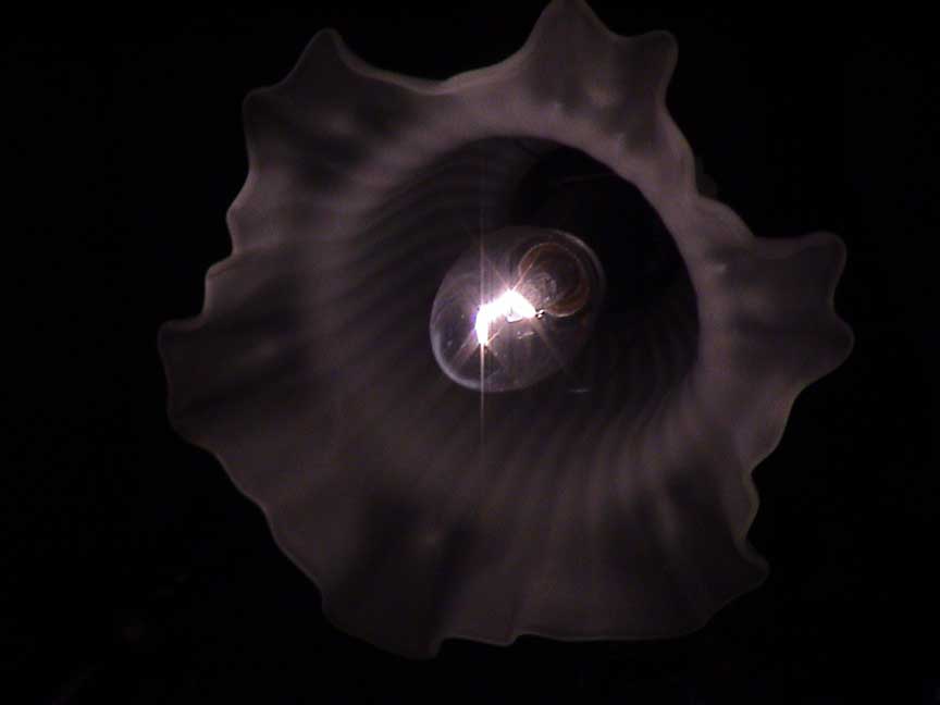 Lampa vaku nelkul