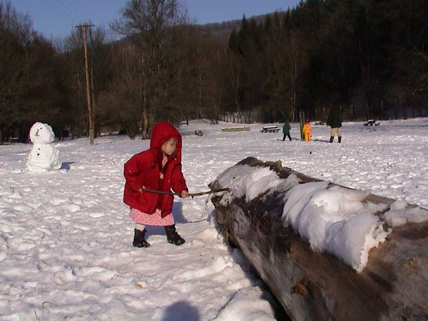 DSC00093
