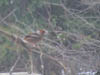 DSC00018