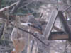 DSC00026